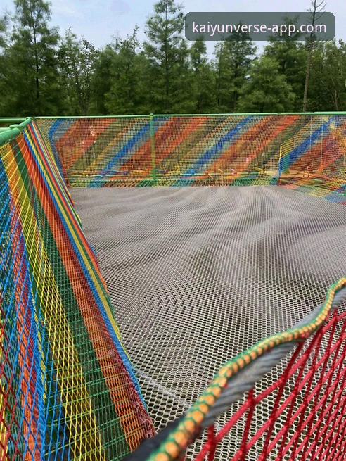 开云app官网入口 开云体育平台一站式服务深度评测:从官方入口到完整体验